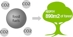prevention of world waarming by sleimination of CO2