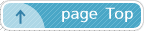 page Top